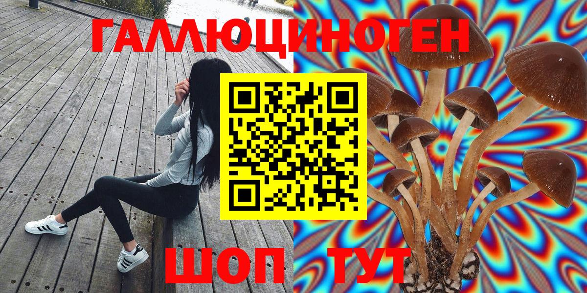 Галлюциногенные грибы прущие грибы Заводоуковск